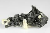 3.6" Black Tourmaline (Schorl) Crystals with Orthoclase - Namibia - #177545-1